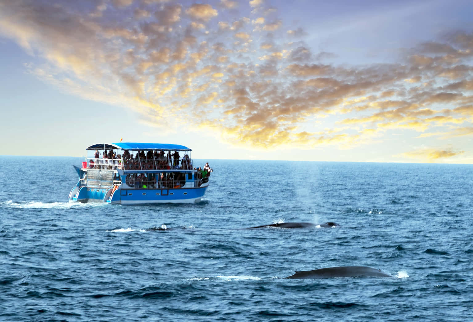 Sunset Cruise in Mirissa