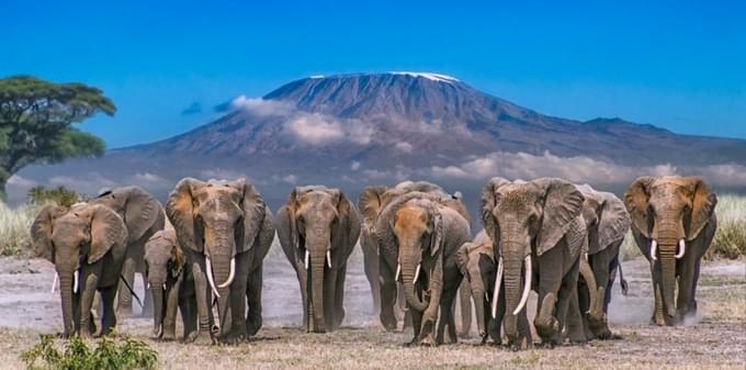 amboseli-national-park2.jpg