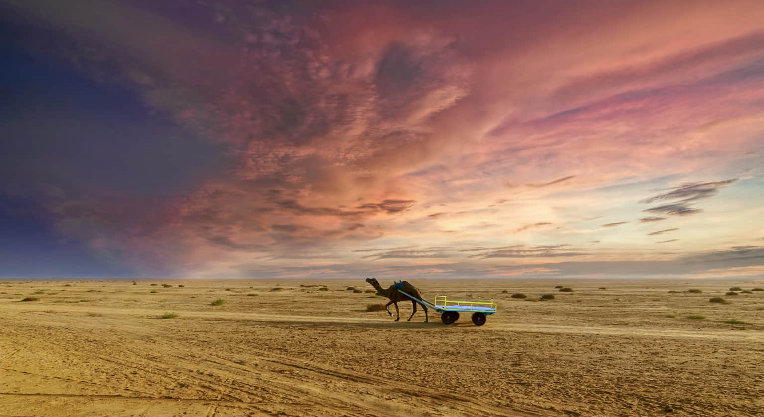 Rann Of Kutch