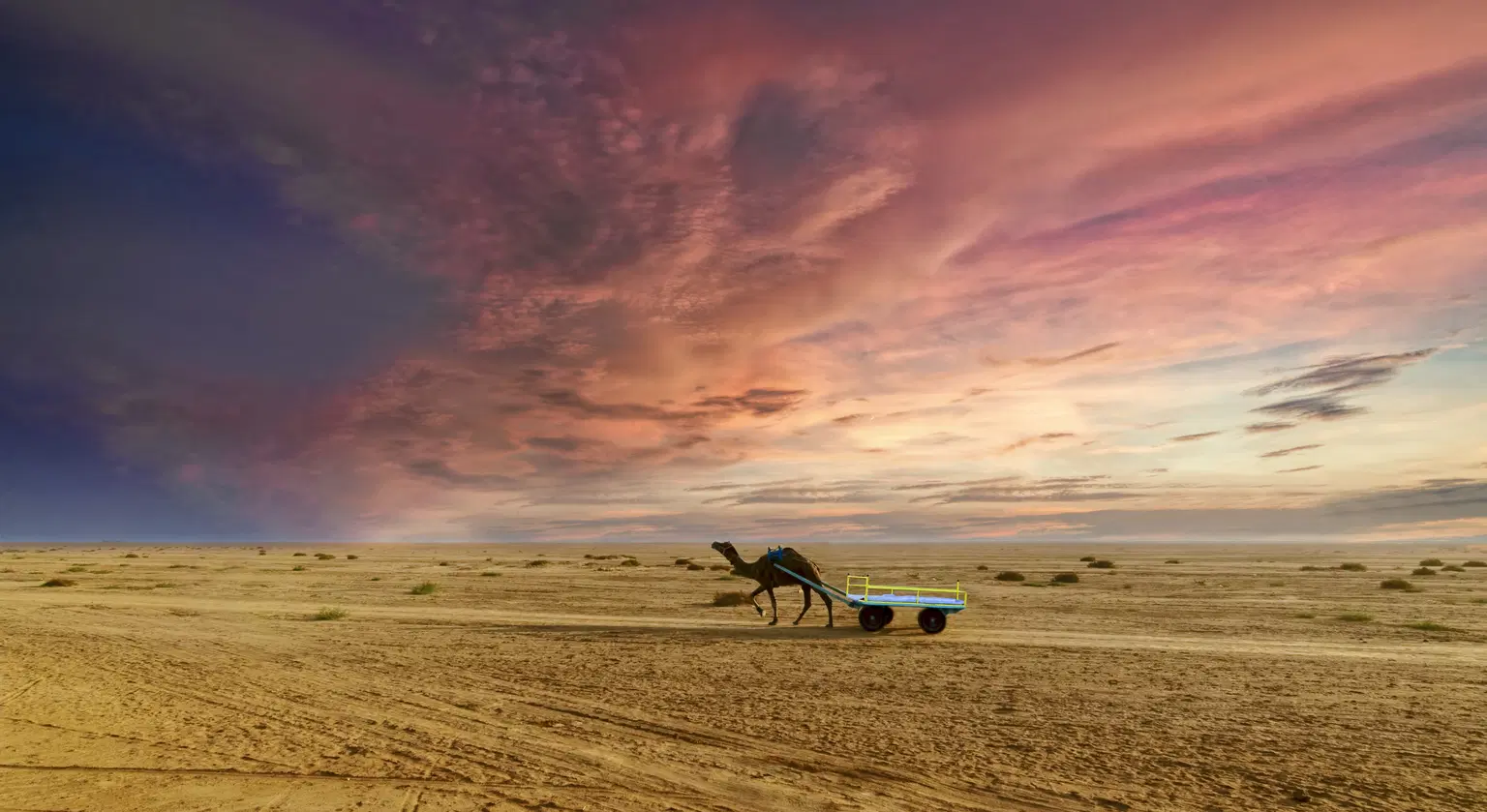 Rann Of Kutch