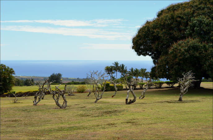 Kukuiolono Park and Golf Course