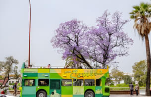 Seville Hop-on Hop-off Sightseeing Tour