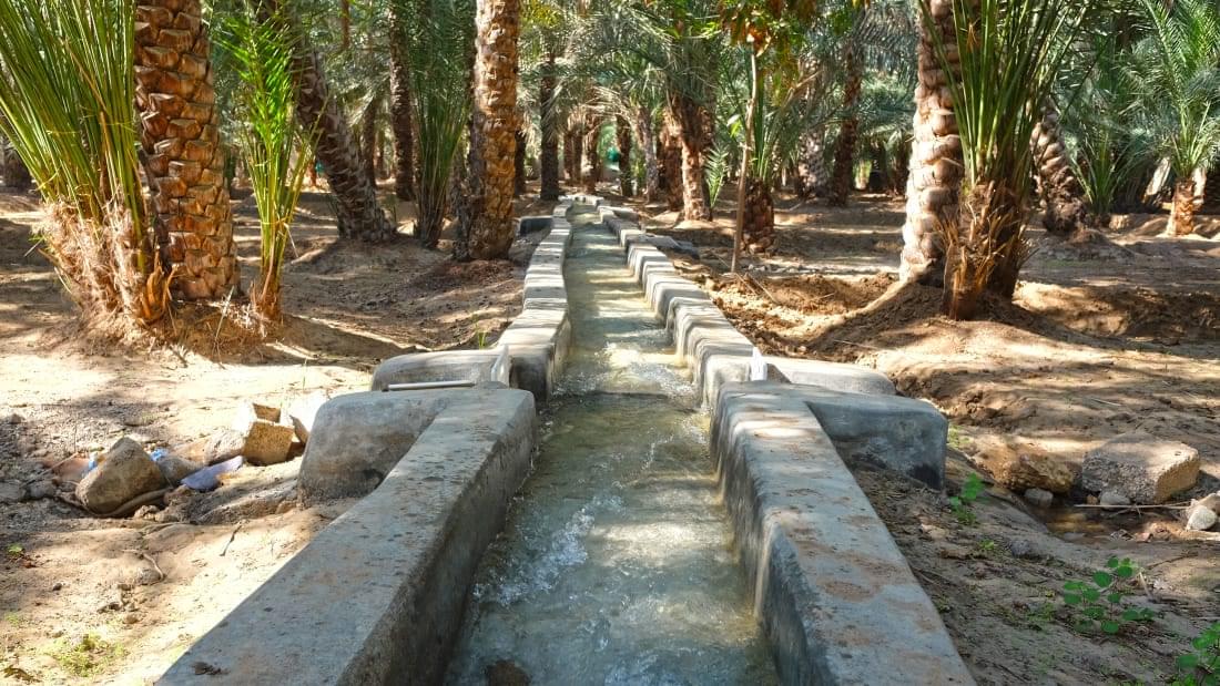Ancient Falaj Irrigation System