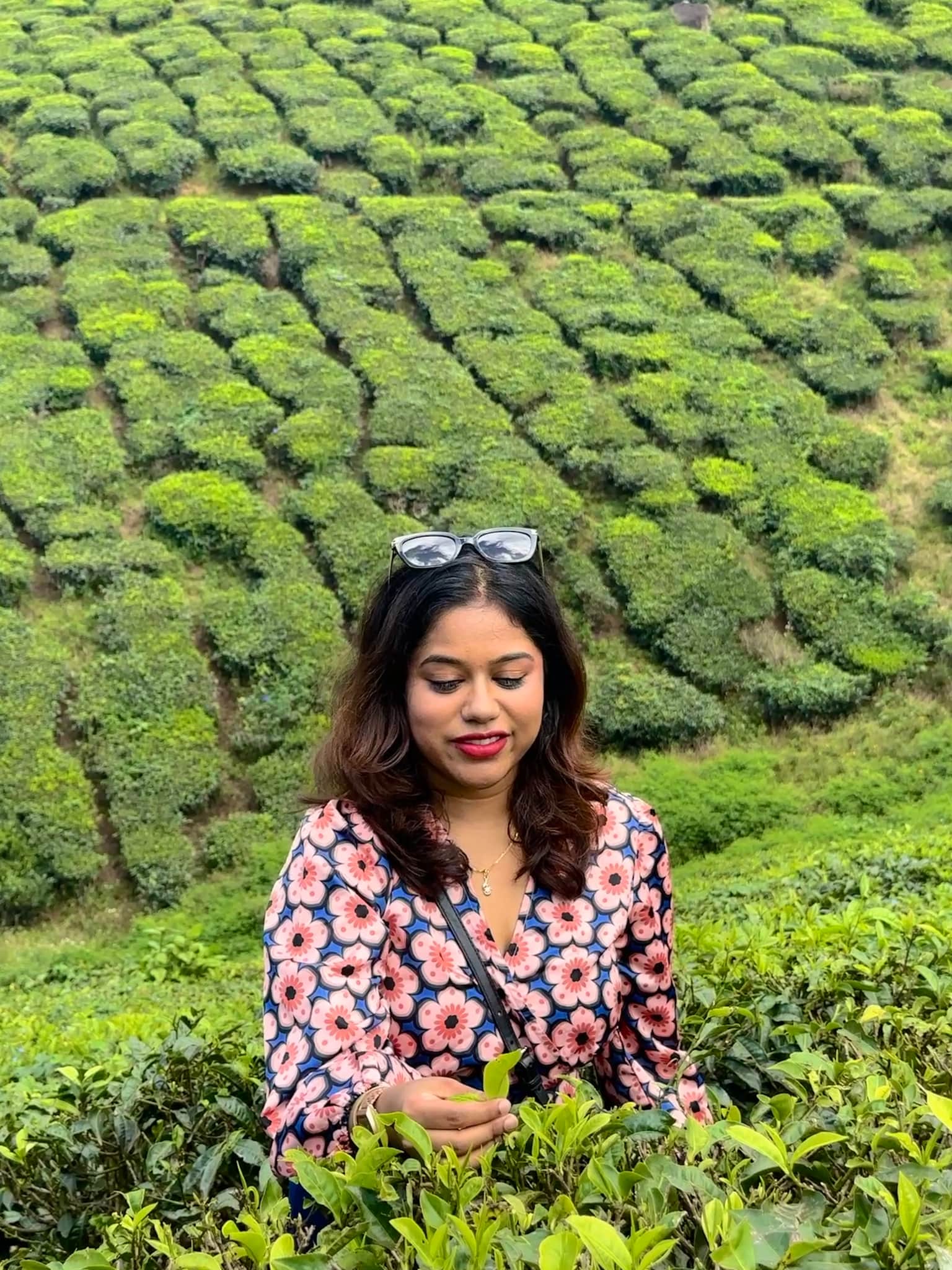 Photo from Shromona Sarkar's trip