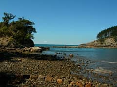 Waiheke Island, <em>Auckland</em>