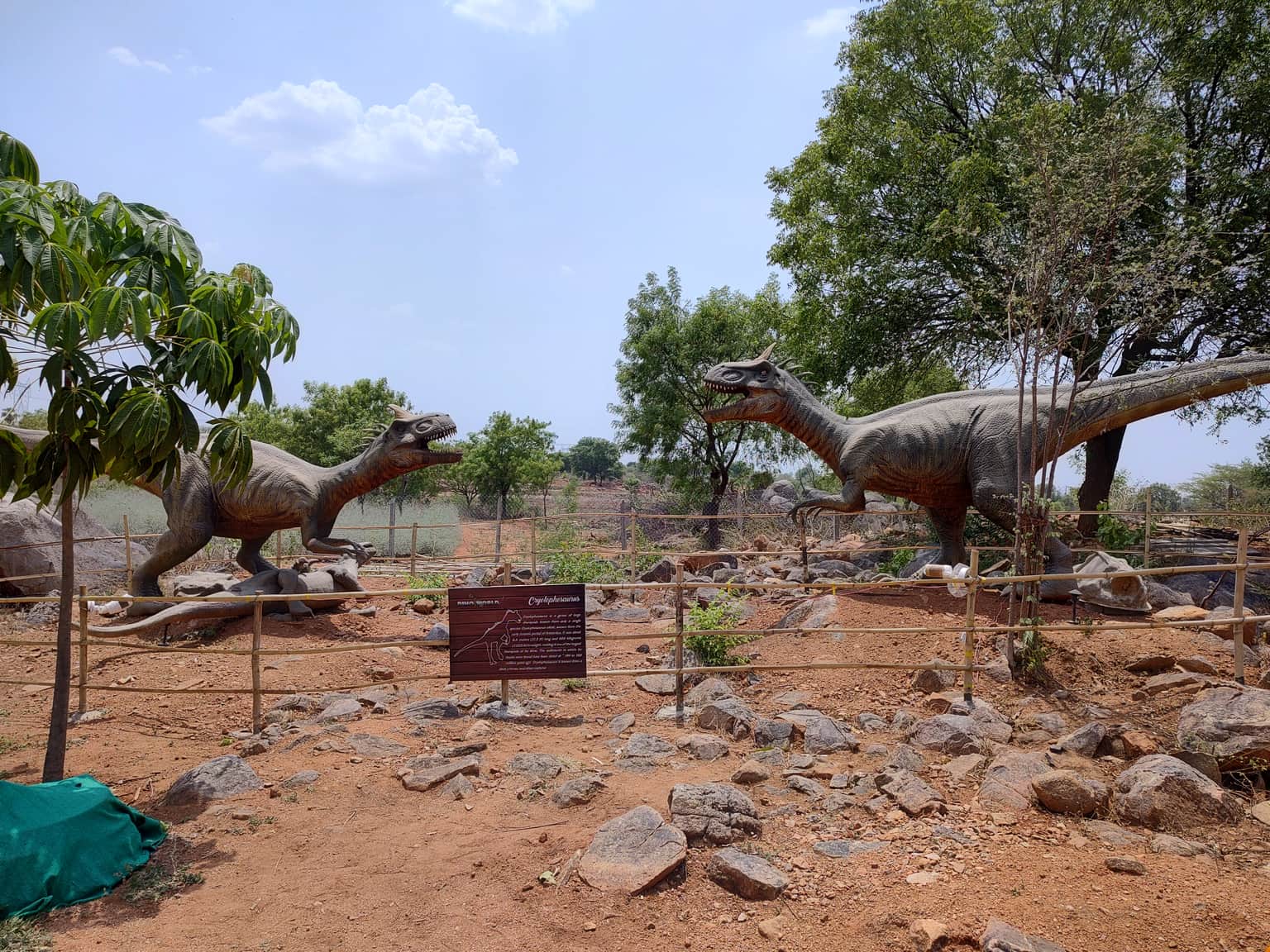 Photo from Venkata M's trip