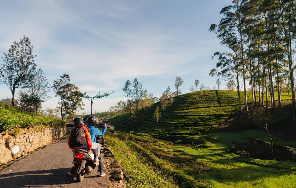 Scooty Rental in Chikkamagaluru Image