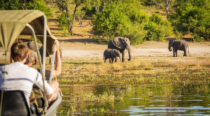 Chobe National Park, Botswana(1).jpg