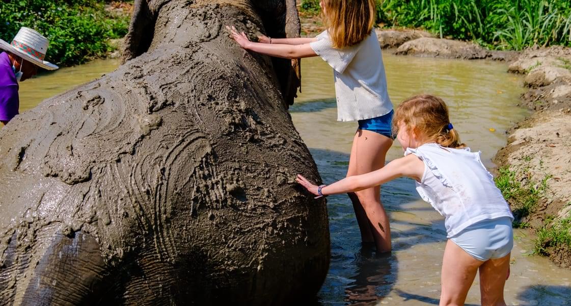 Elephant Mud Bath and Expedition