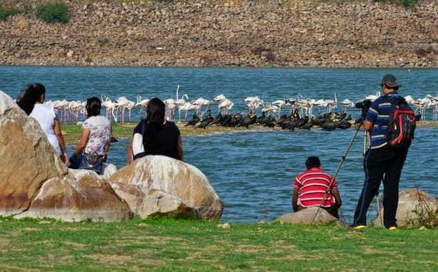 Fishing In Hyderabad Image