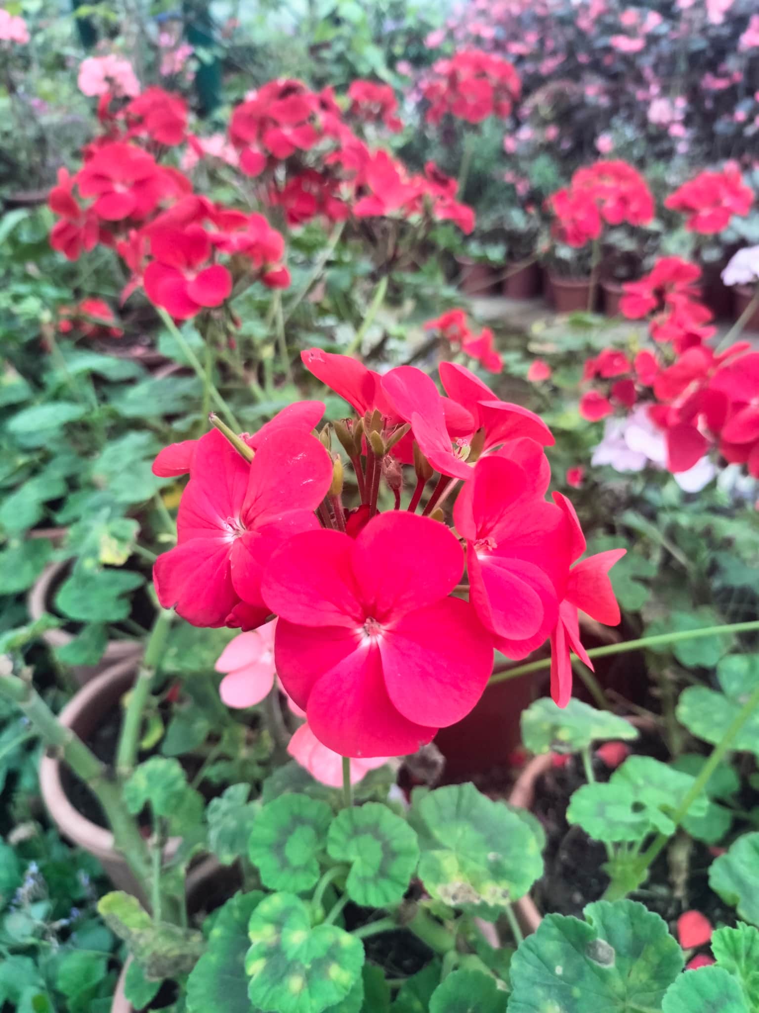 Photo from sivva dharini's trip