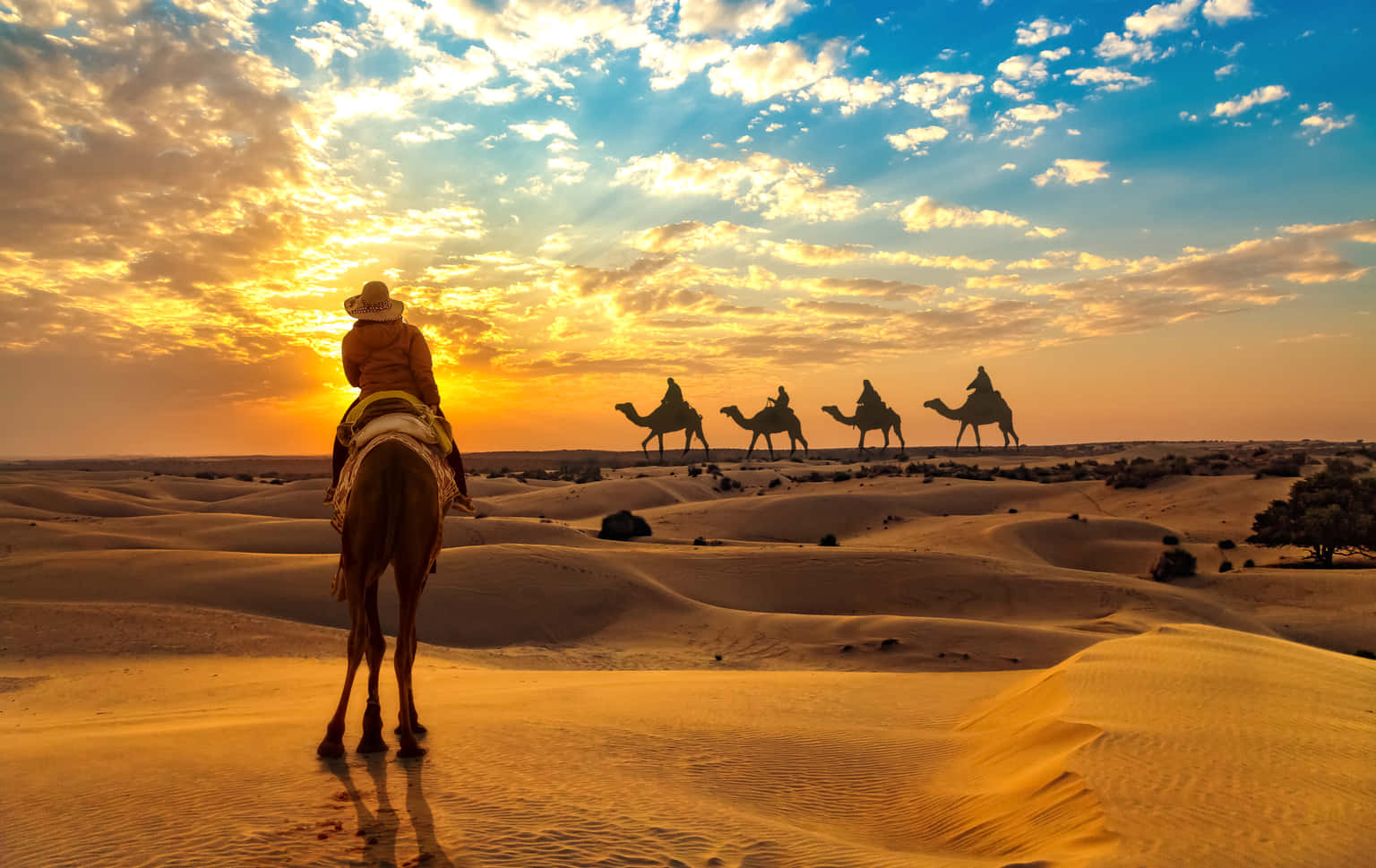 Camel Safari with Desert Sundowners, Osian