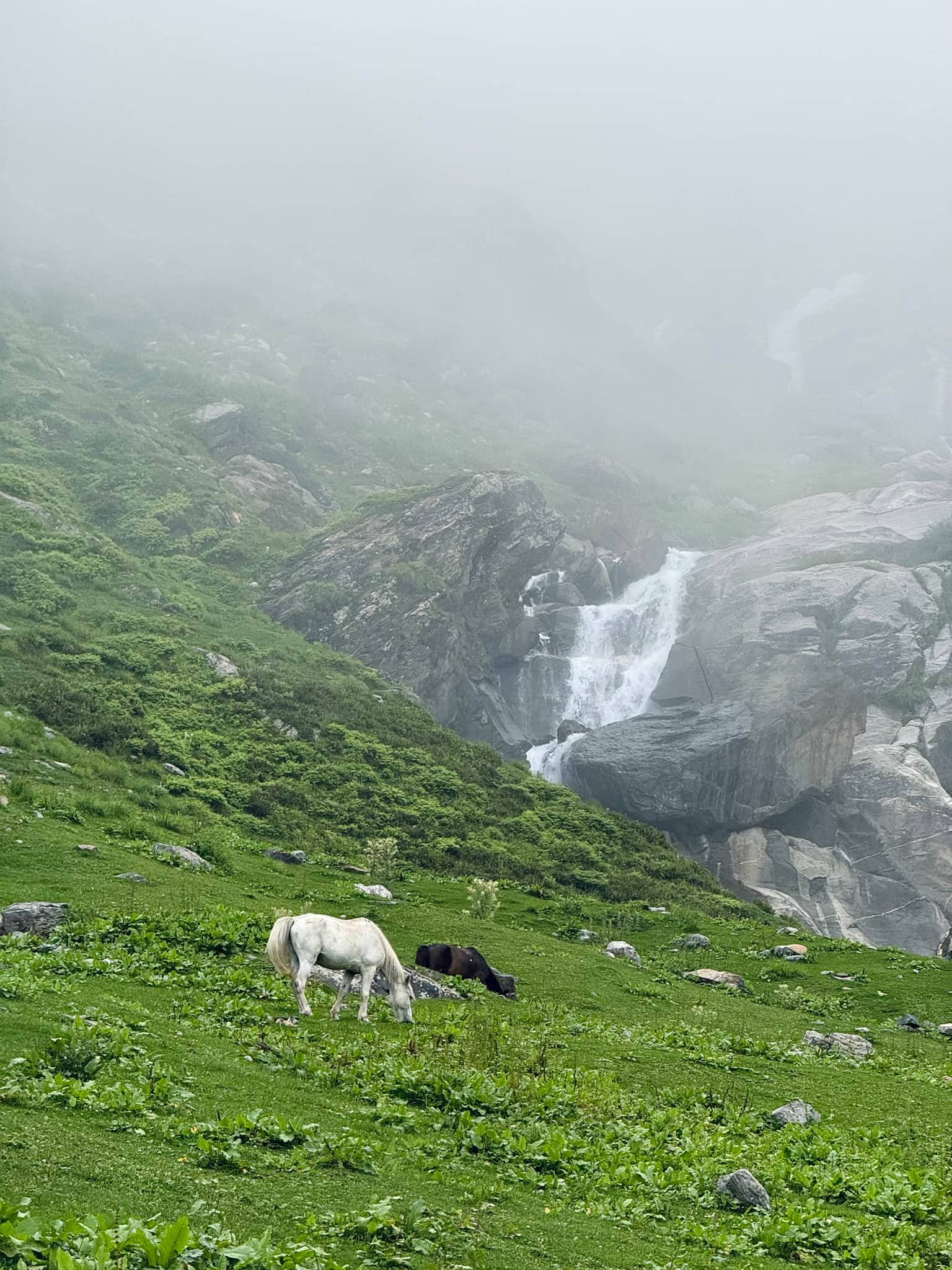 Photo from Shahrukh sabu's trip