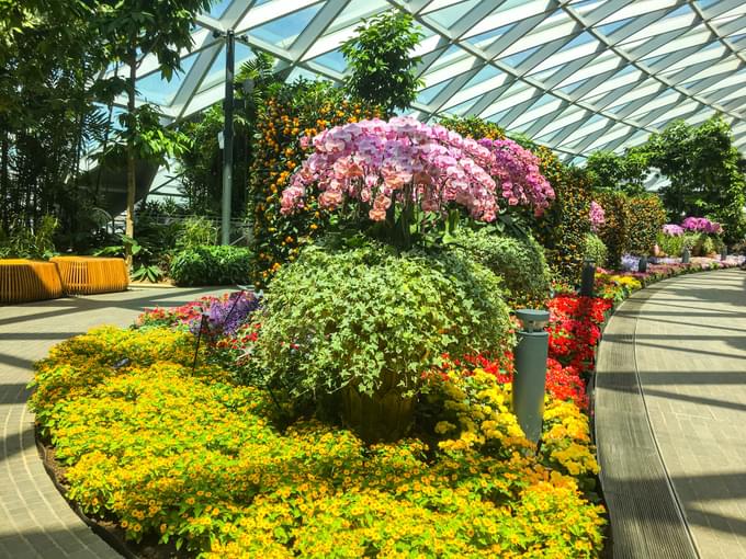 Jewel Changi Canopy Park