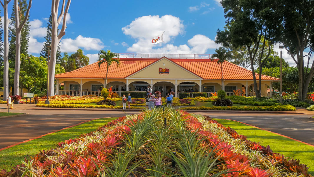 Dole Plantation & Waikele Outlet Day Tour in Oahu Image