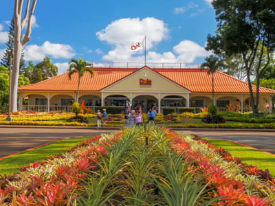 Dole Plantation and Waikele Outlet Private Day Tour in Oahu