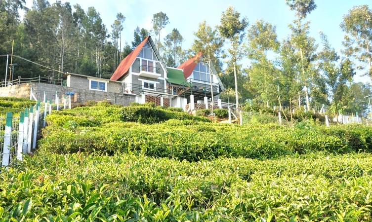 10 Homestays in Ooty with Kitchen, Book & Get Upto 50% Off