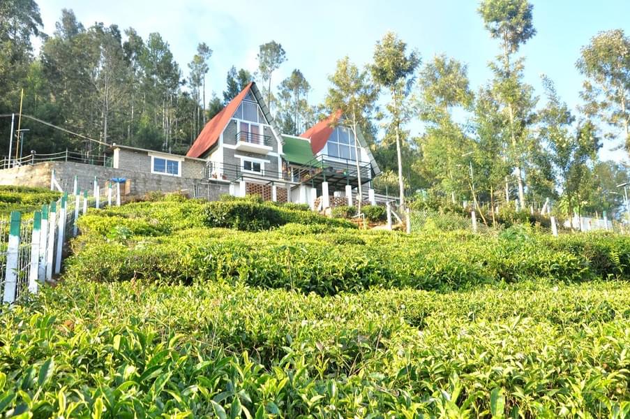A Boutique Stay Tucked Amidst Tea Plantations of Kotagiri Image