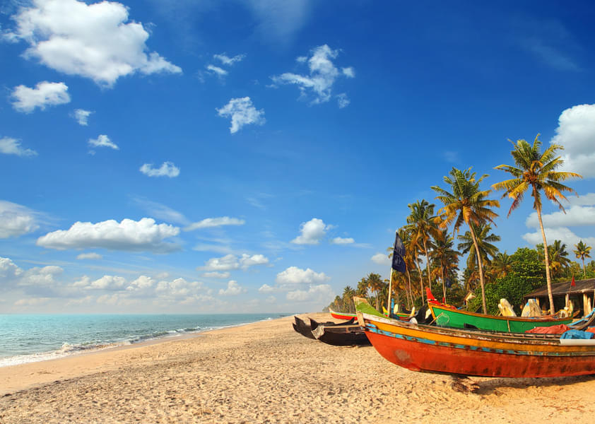 South India Tour Package From Chennai Image