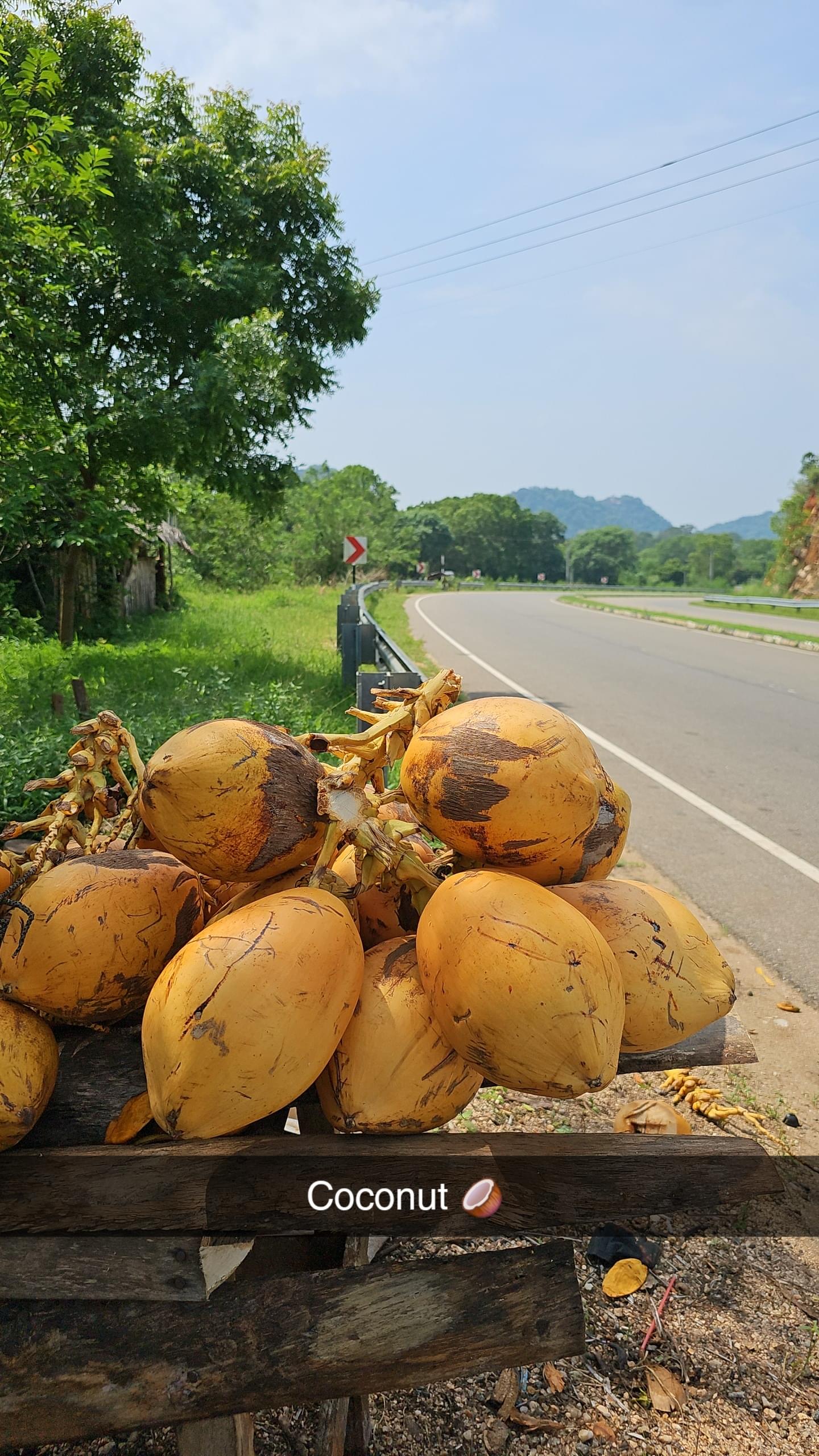 Nagarjun Mallarapu