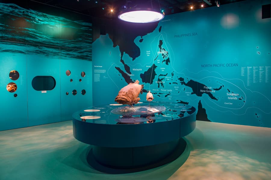 Lee Kong Chian Natural History Museum Tickets Image