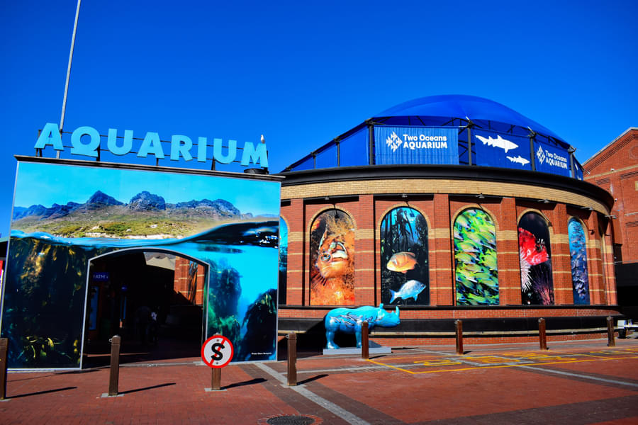 Welcome to the 2 oceans aquarium