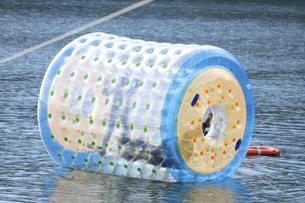 Qx8s4qdp7z8hfx1cgd6qallefima shutterstock 2250091069