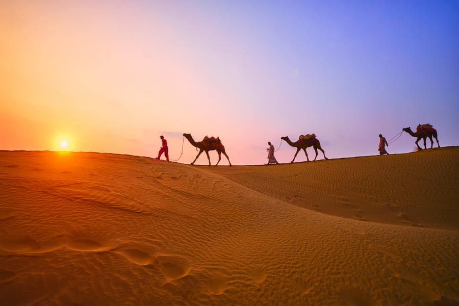 Camel Ride at Sam Sand Dunes in Jaisalmer Image