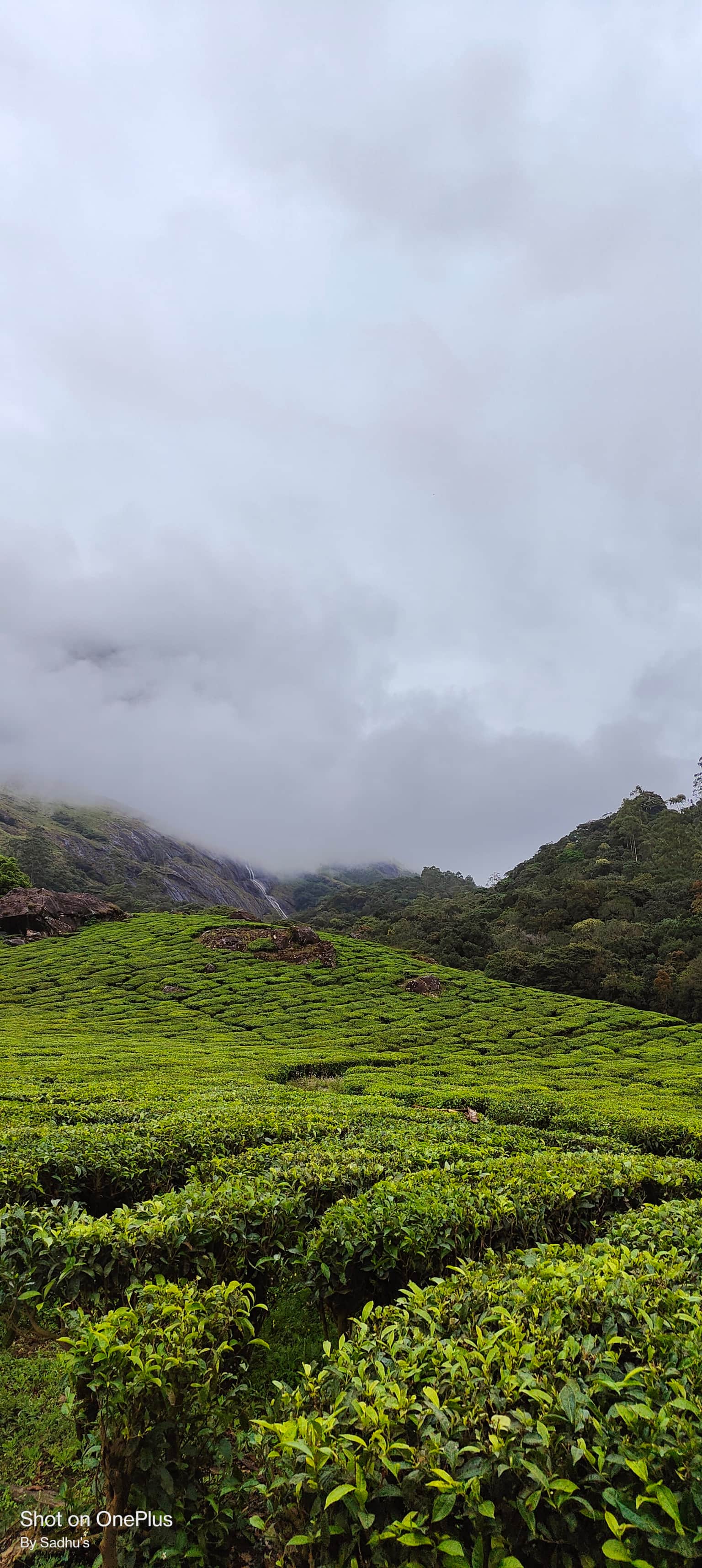 Photo from Satya Sadhu's trip