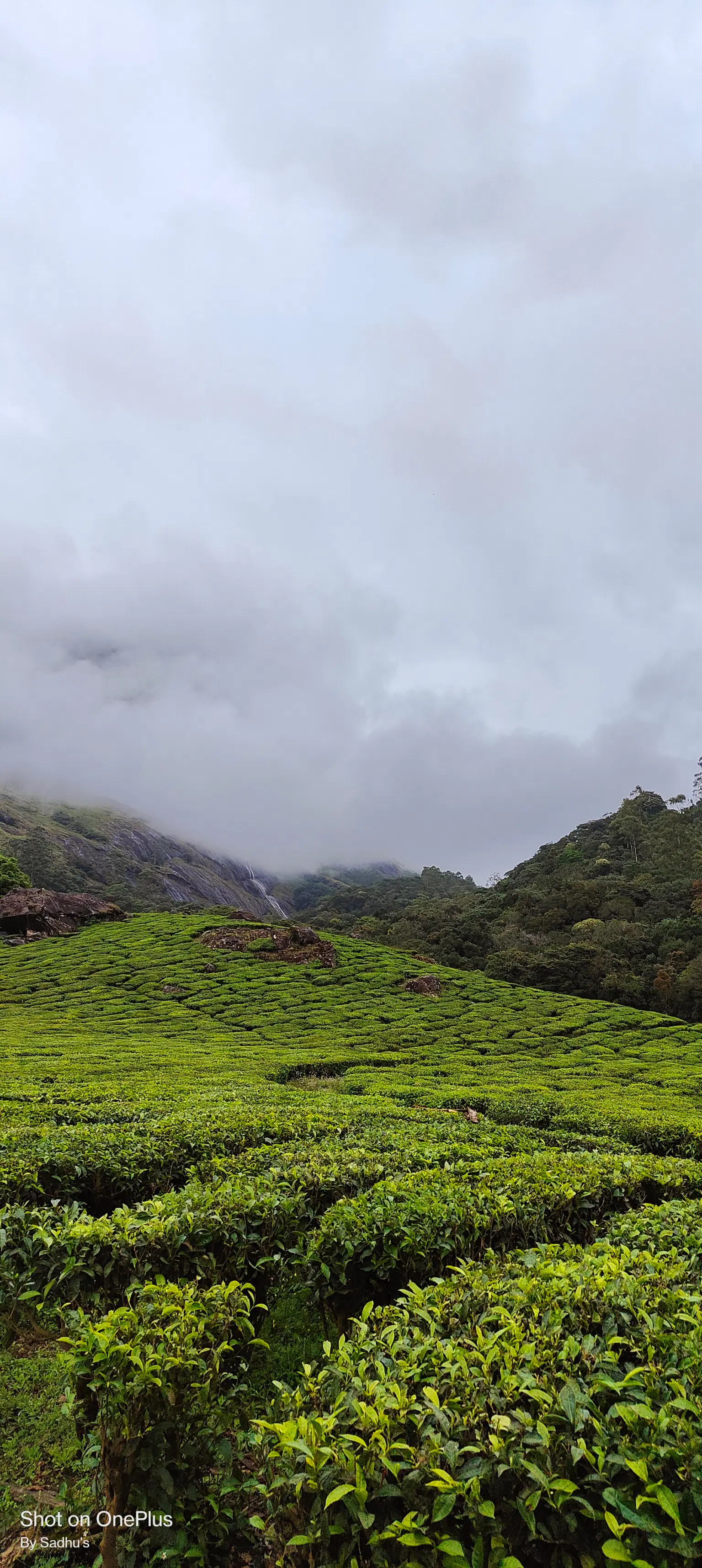 Photo from Satya Sadhu's trip