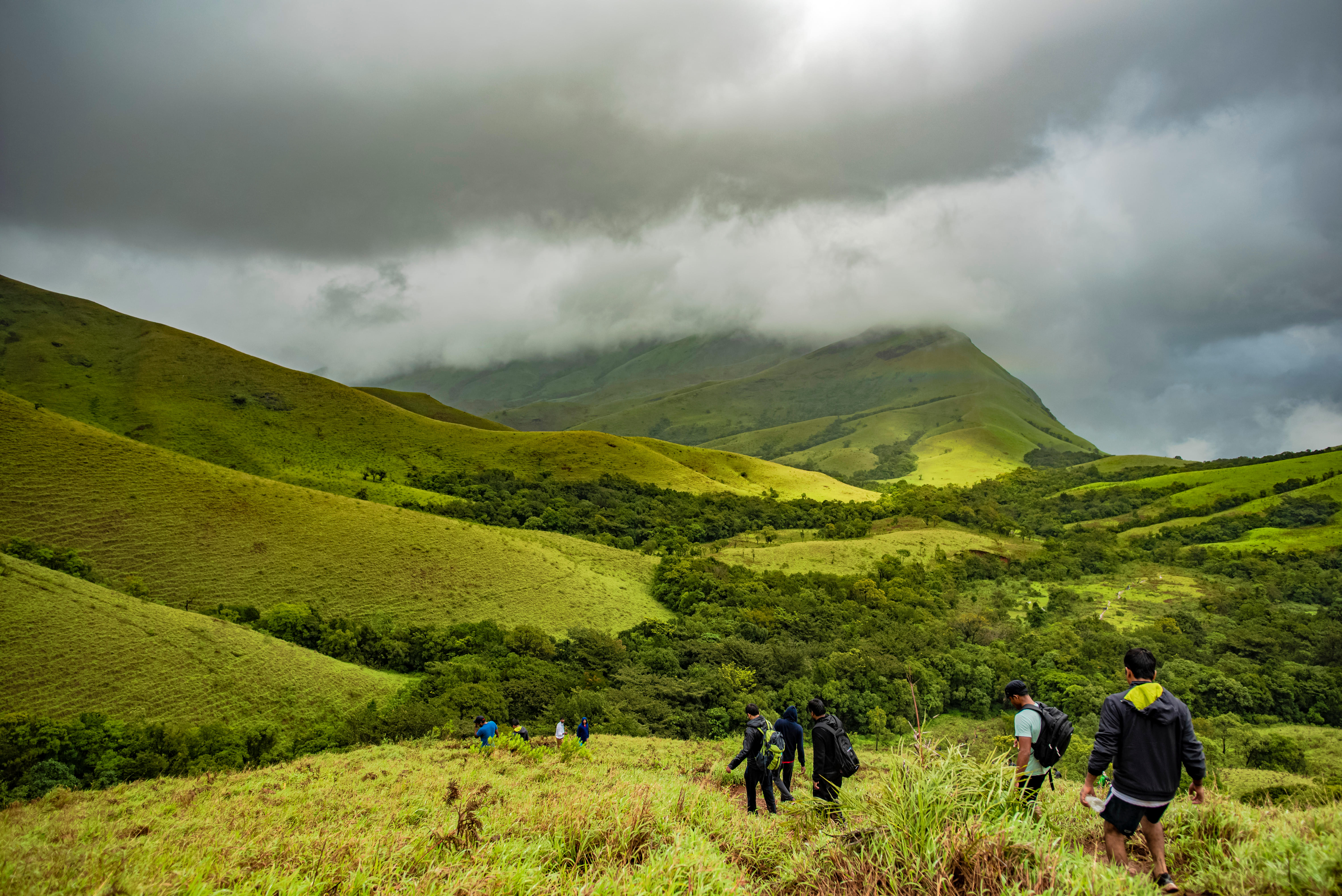 Trek through the green paths of Kudremukh National Park