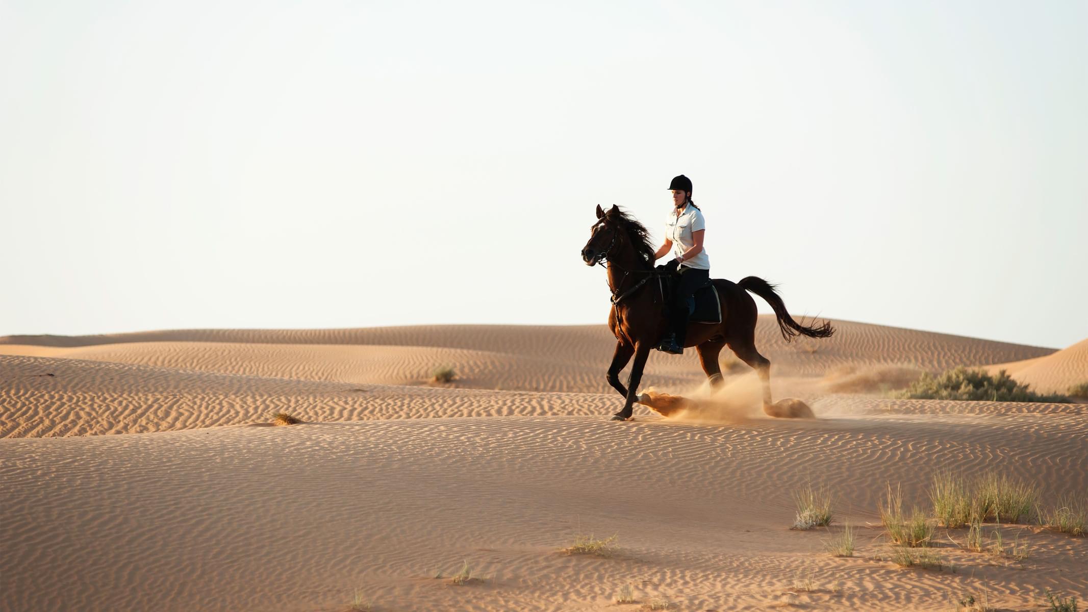 Try horse riding in the desert.