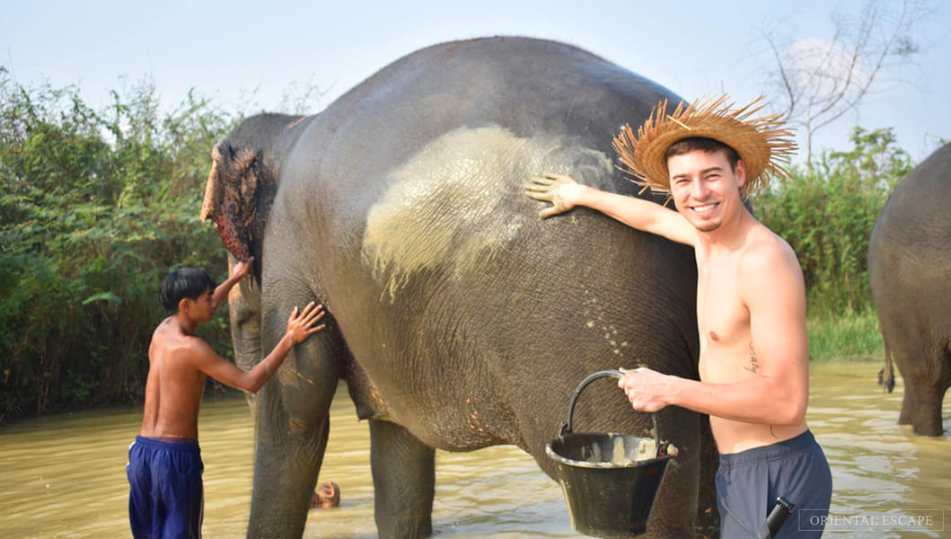 Elephant Jungle Sanctuary Pattaya Image