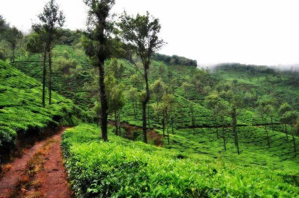 Raxidi Estate