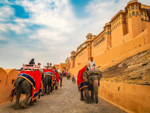 Full-Day Jaipur Sightseeing Tour