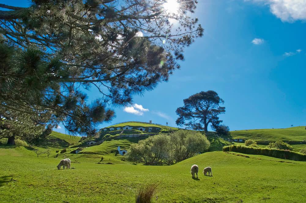 8 Days New Zealand Tour Package North Island Exclusive