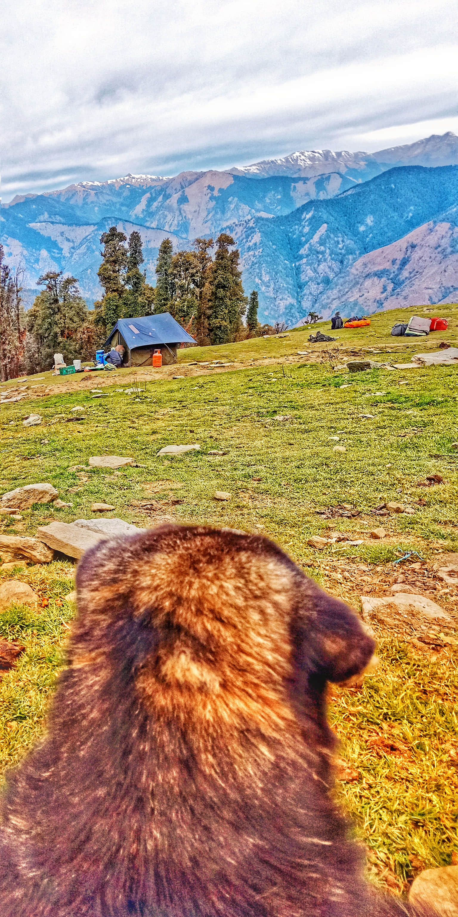 Photo from Nandhu Venugopal's trip