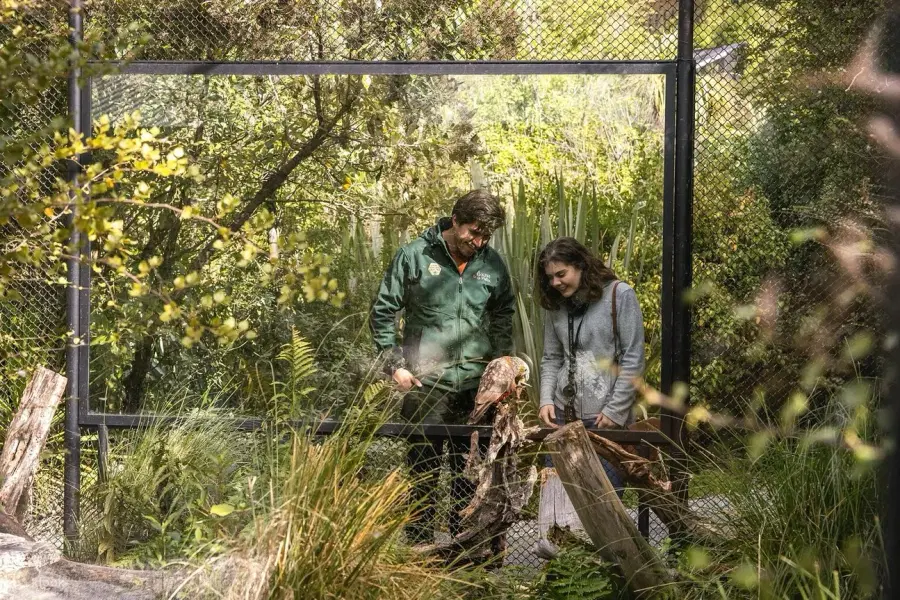 Kiwi Park Queenstown Tickets, New Zealand Image