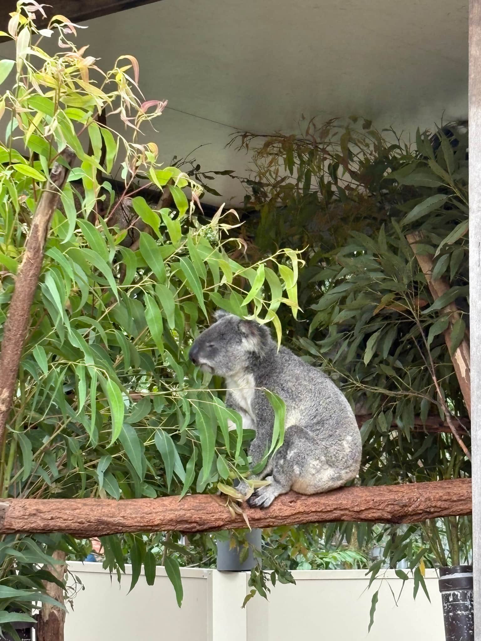 Photo from adarsh krishnan's trip