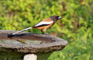 R204xatjy82pkps8c3y5b3xjpujo 12221977335 bd69775363 b