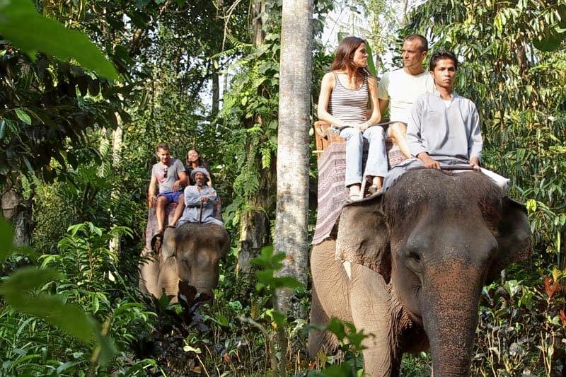 White Water Rafting And Elephant Safari With Mountain Cycling Bali Image