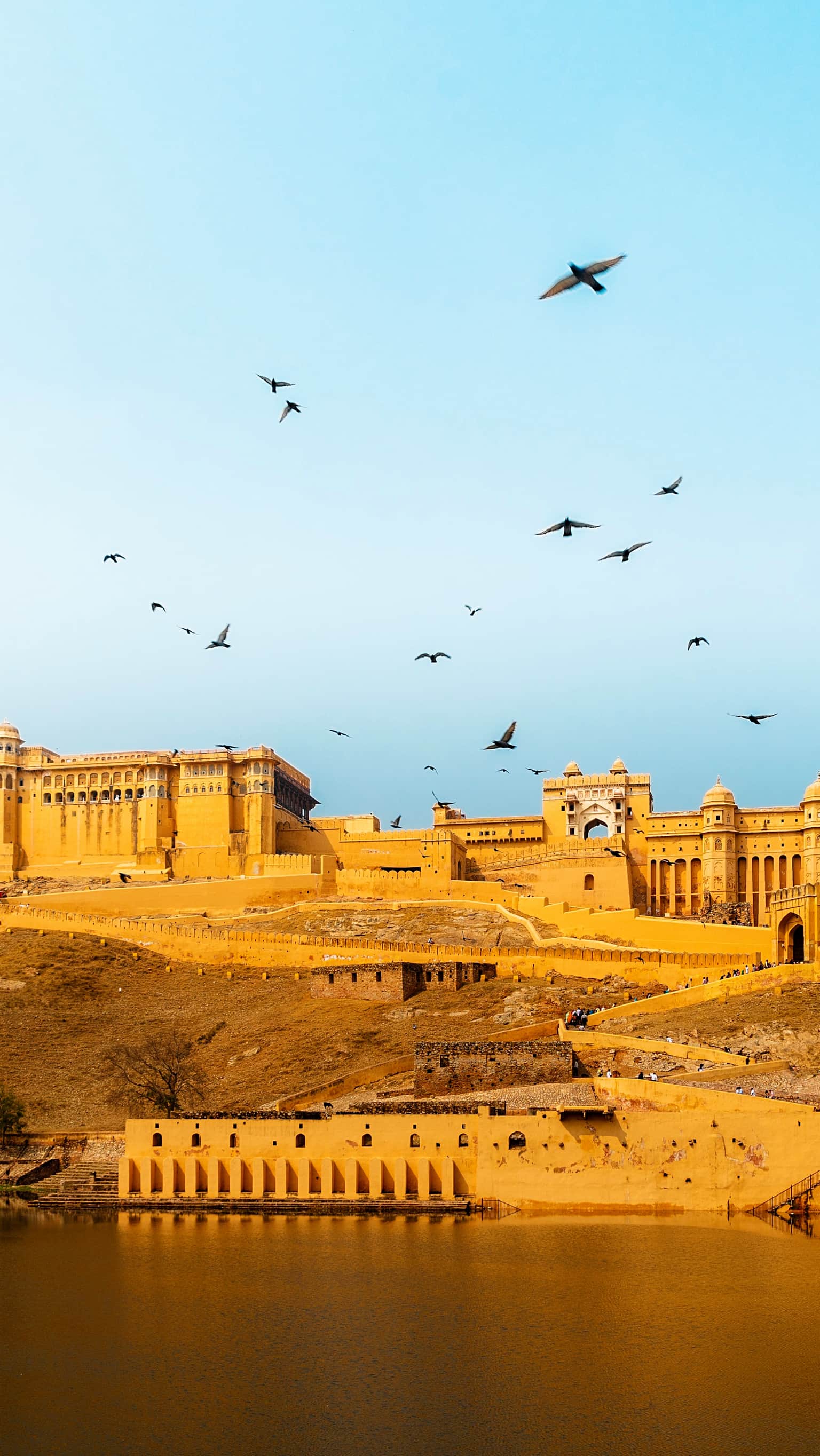 rajasthan vacation packages