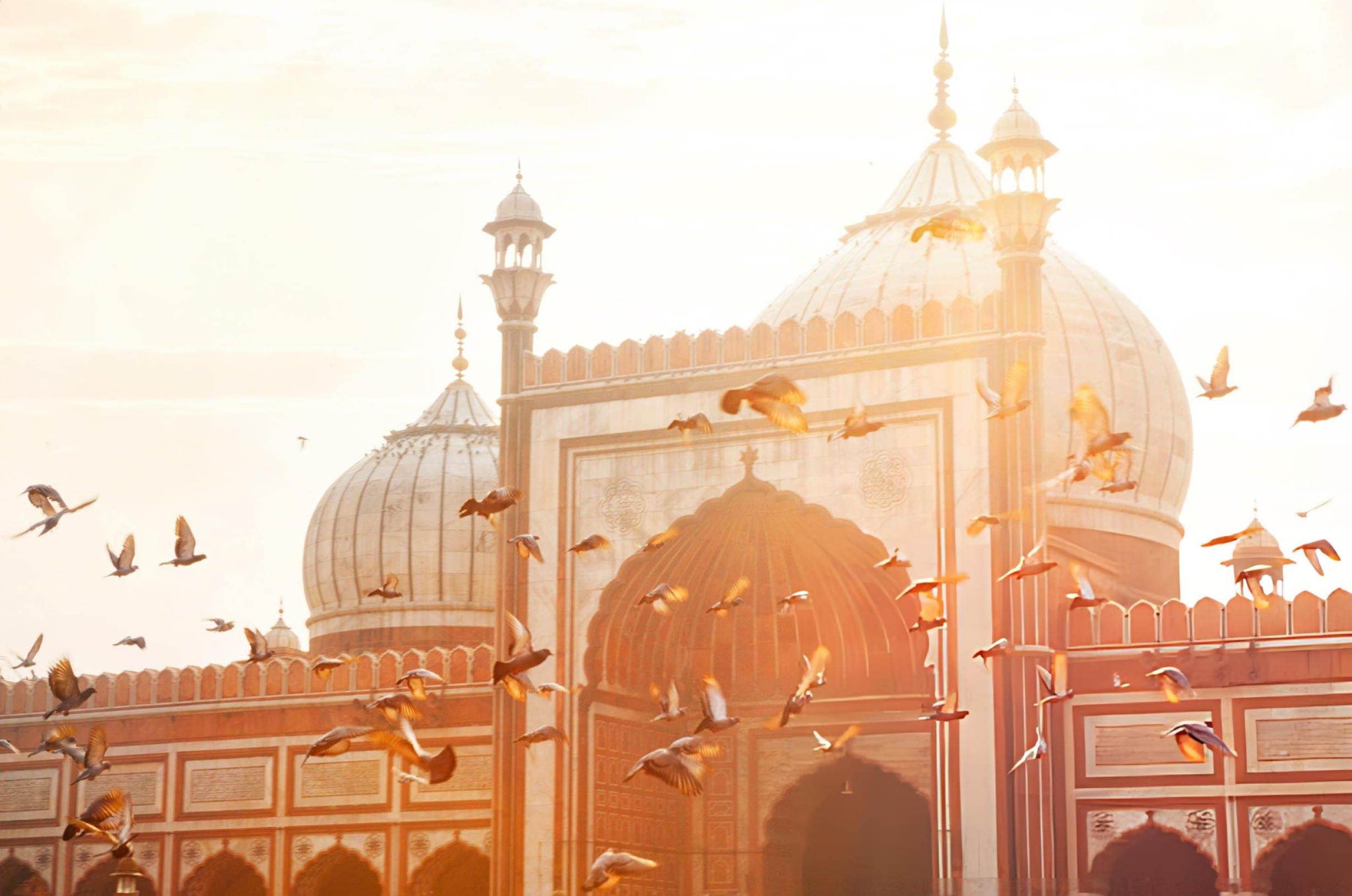 Explore Mughal-era landmarks and cultural hotspots