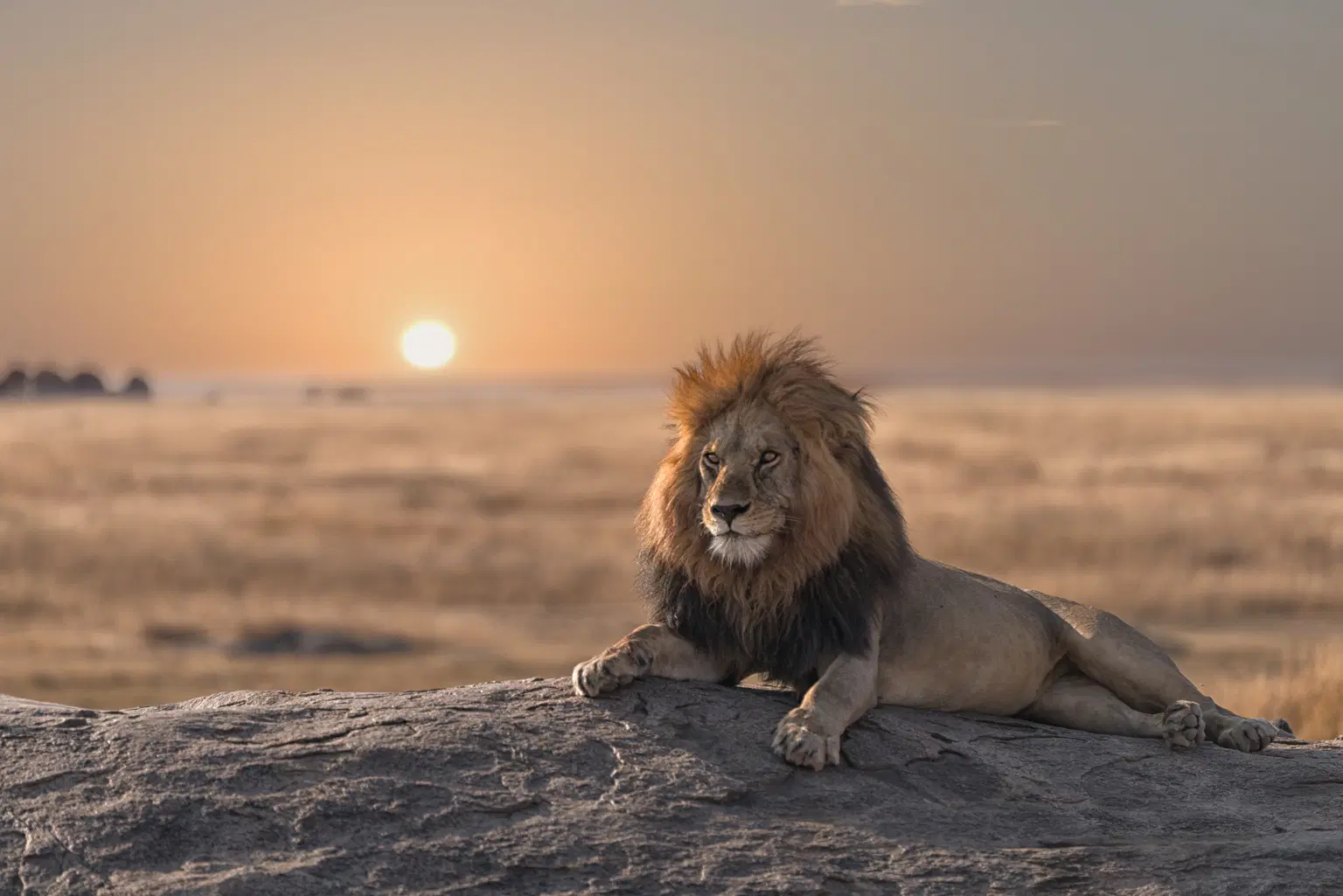 <em>Kenya</em> Tour Packages From Jaipur