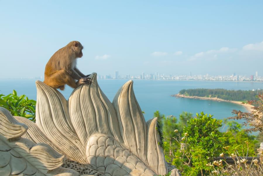 How To Reach Monkey Hill Phuket