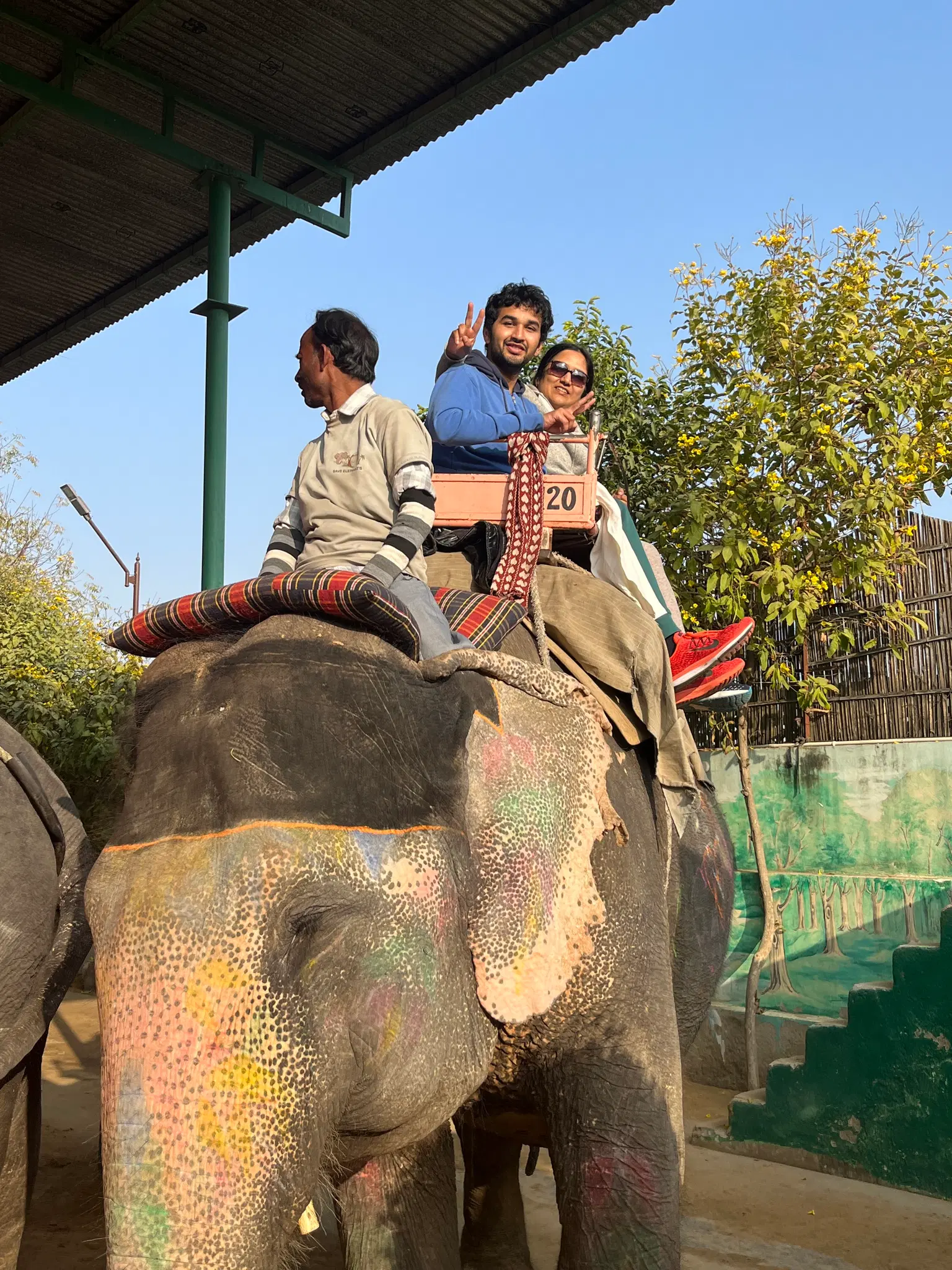 Traveller photo