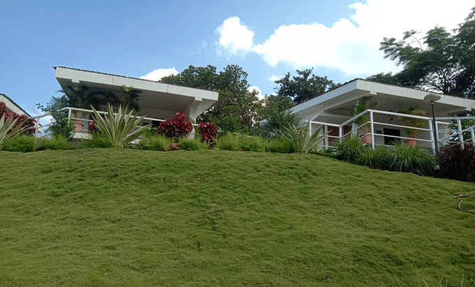 Garden Area