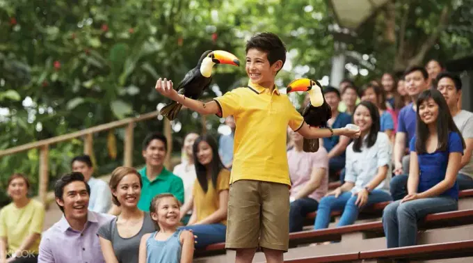 Bird Watching at Bird Paradise Singapore