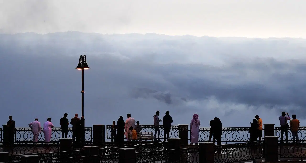The Fog Walkway