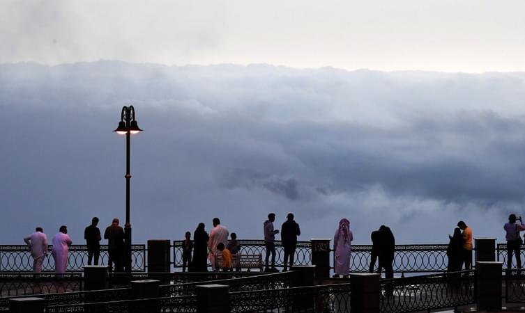 The Fog Walkway